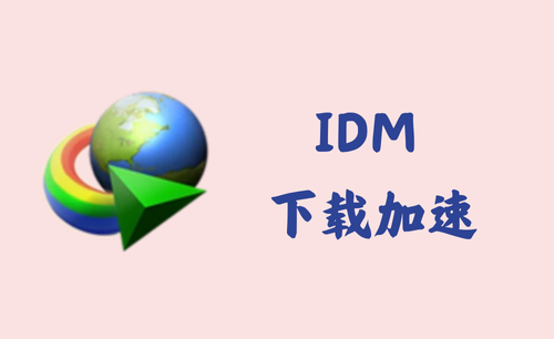 Internet Download Manager 6.42.18 - 下载加速[绿色版]