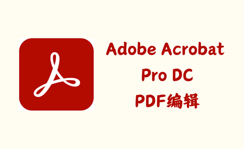 Adobe Acrobat Pro DC 2024.002.20965 - PDF编辑 [绿色版]