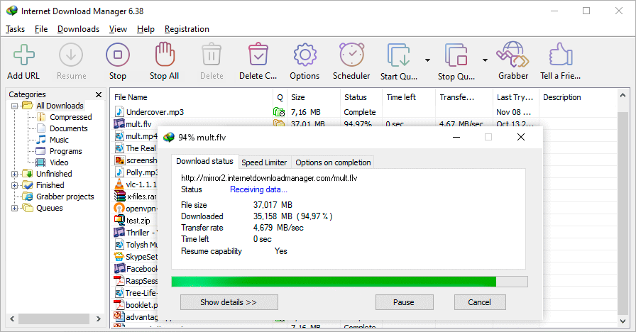 Internet Download Manager 6.42.18 - 下载加速[绿色版]