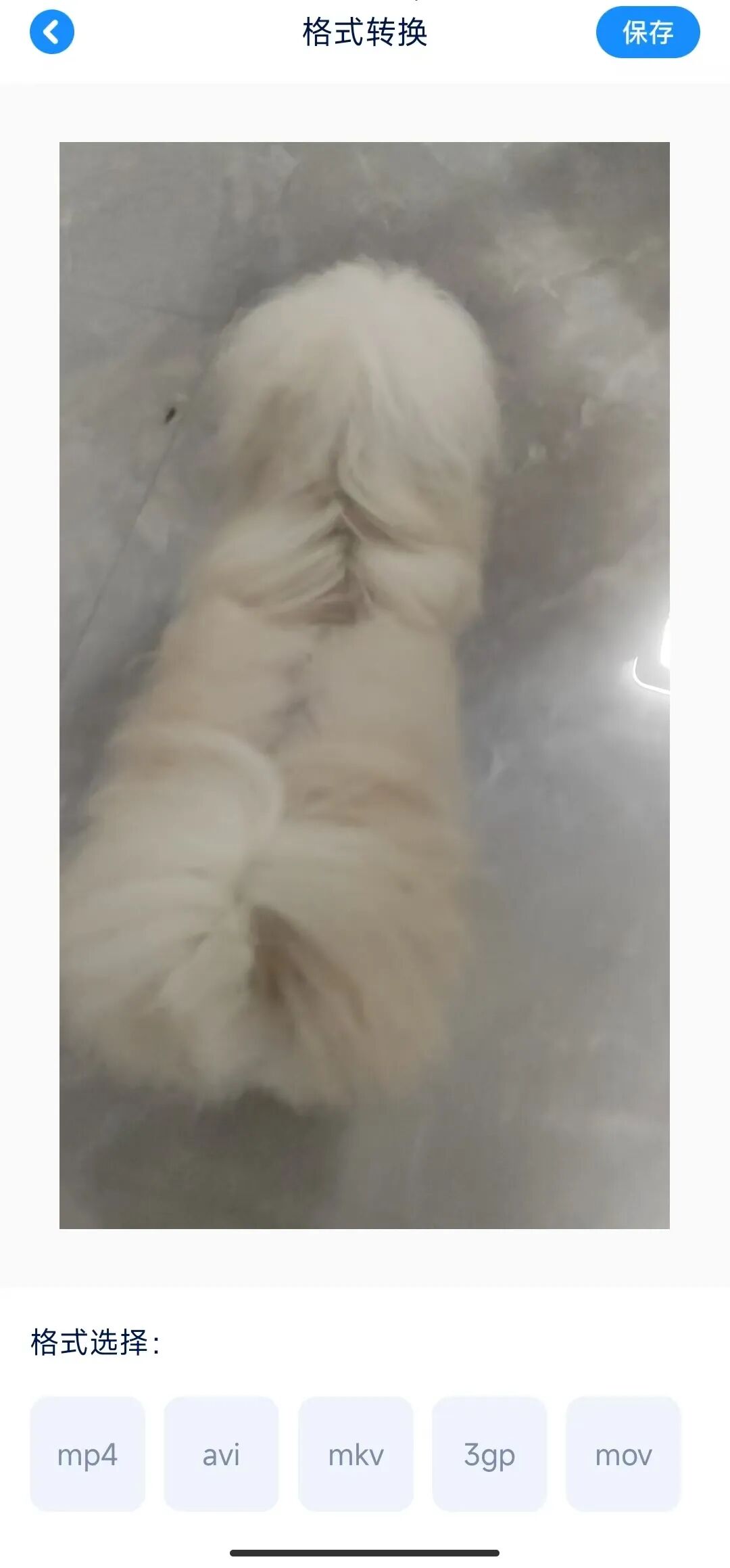 证照之星 - 证件制作、图片裁剪、照片拼接、照片切图、添加文字、添加背景