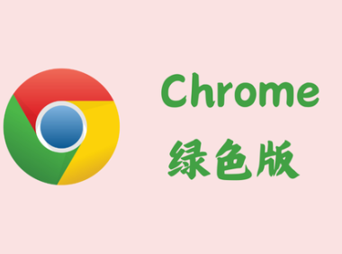 Google Chrome 127.0.6533.89 - 谷歌浏览器 [绿色版]