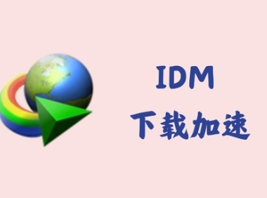 Internet Download Manager 6.42.18 - 下载加速[绿色版]