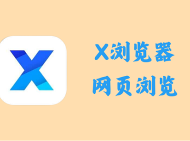 X浏览器 4.8.0.866 - 网页浏览 [谷歌版]