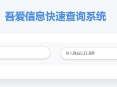 轻量级数据查询工具:快速搜索、结果直观、还能导出 PDF
