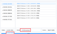 系统下载工具 - Windows系统下载