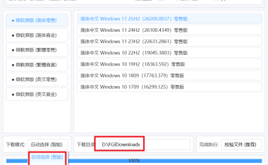 系统下载工具 - Windows系统下载